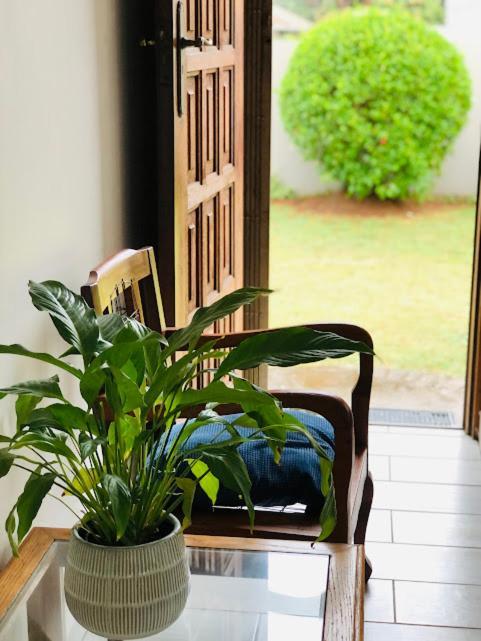 Danville Forest Guest House & Apartments Durban Exteriér fotografie